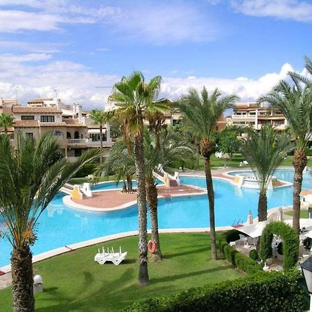 The Best House! Large Terrace Beach And Bars! Traveller Awards 2024-2025 Τορεβιέχα Εξωτερικό φωτογραφία