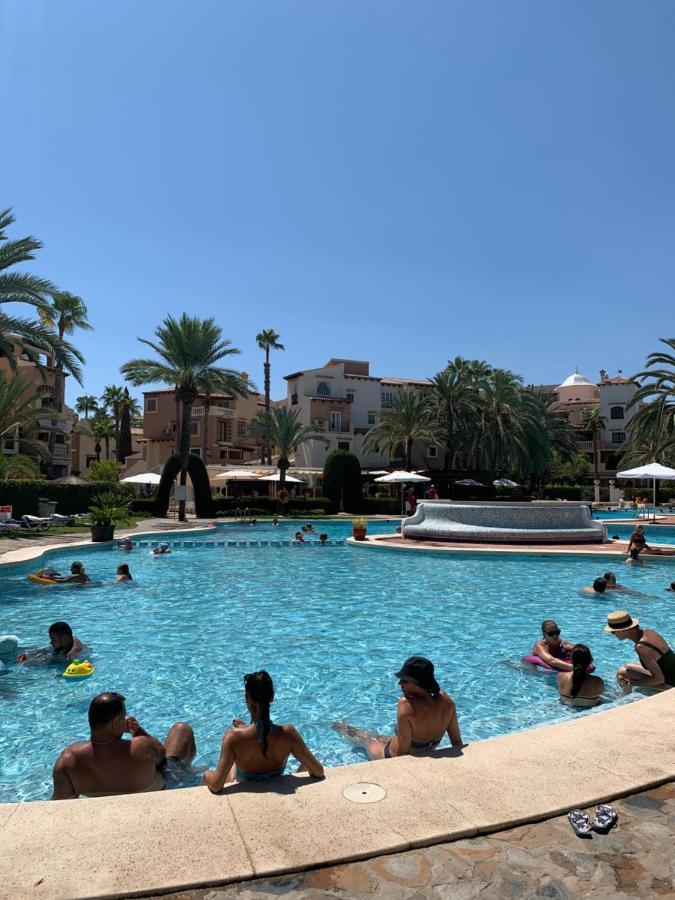 The Best House! Large Terrace Beach And Bars! Traveller Awards 2024-2025 Τορεβιέχα Εξωτερικό φωτογραφία