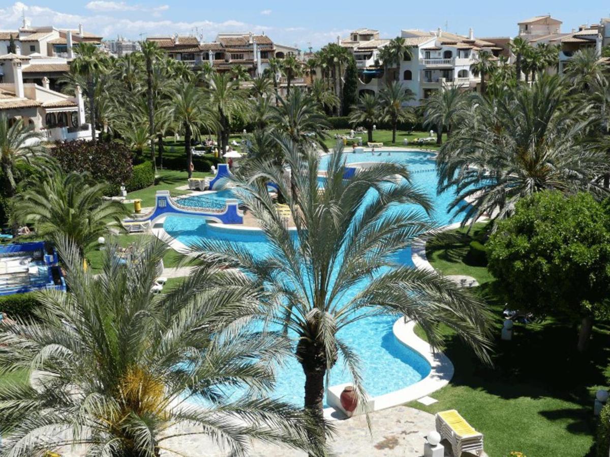 The Best House! Large Terrace Beach And Bars! Traveller Awards 2024-2025 Τορεβιέχα Εξωτερικό φωτογραφία